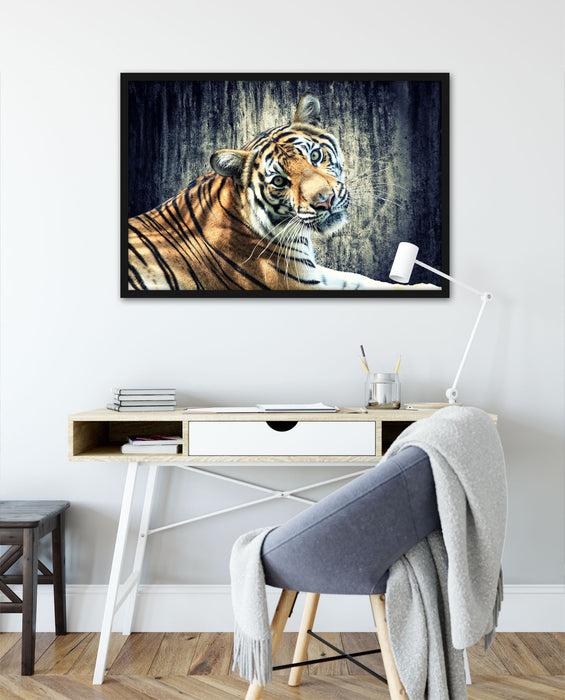 Neugieriger Tiger, Poster mit Bilderrahmen