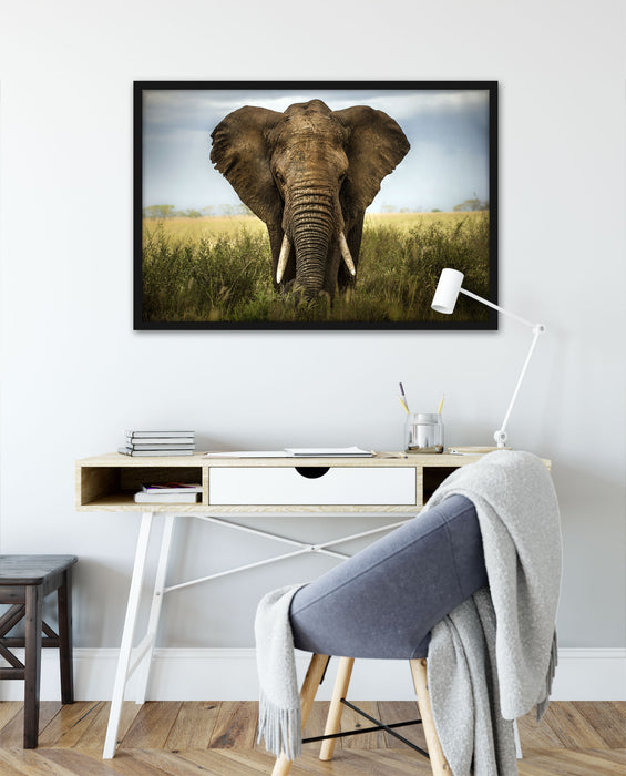 Imposanter Elefant, Poster mit Bilderrahmen