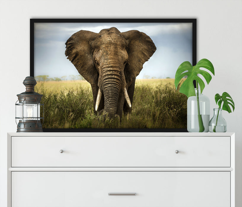 Imposanter Elefant, Poster mit Bilderrahmen