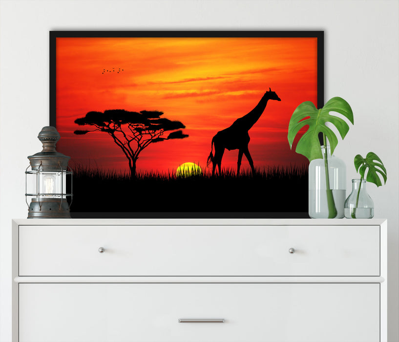 Giraffe im Sonnenuntergang, Poster mit Bilderrahmen