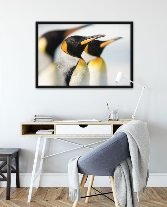 Pinguine, Poster mit Bilderrahmen