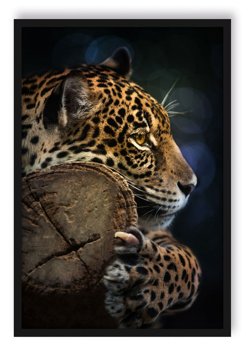 Pixxprint Wunderschöner Leopard, Poster mit Bilderrahmen