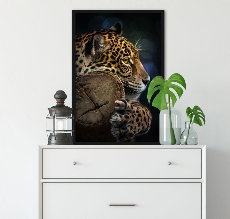 Wunderschöner Leopard, Poster mit Bilderrahmen