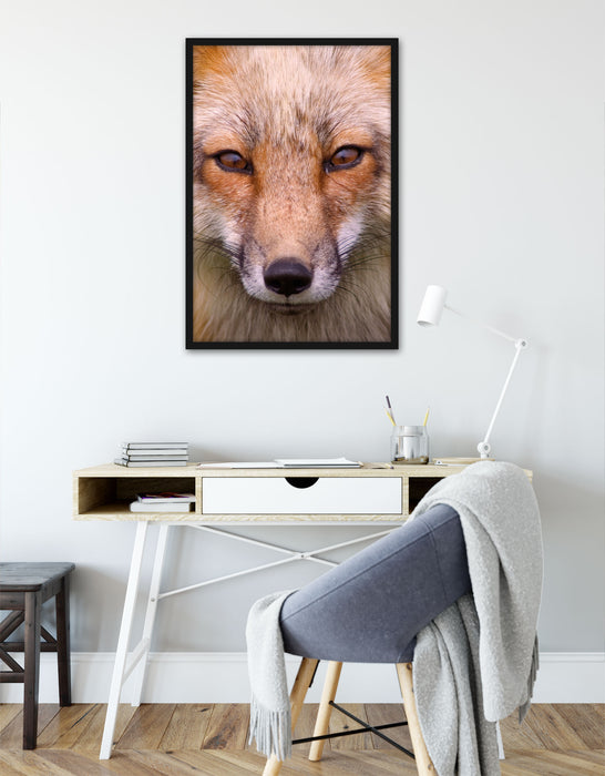 Fuchs Porträt, Poster mit Bilderrahmen