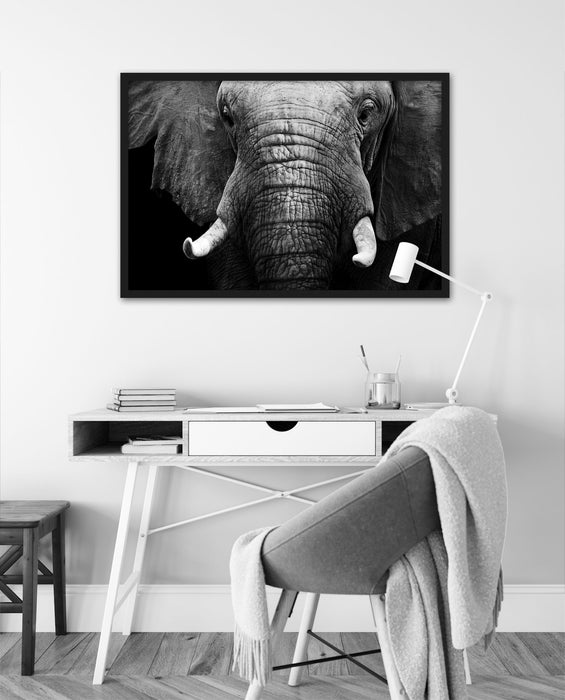 Elefant Porträt, Poster mit Bilderrahmen