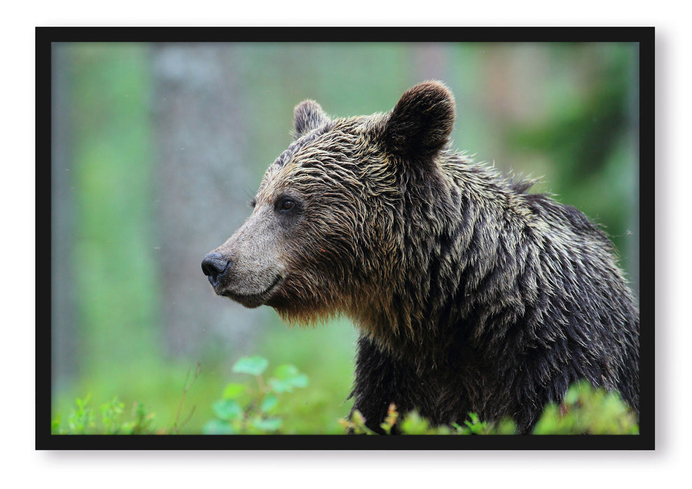 Pixxprint Kleiner Bär, Poster mit Bilderrahmen