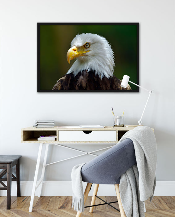 Mächtiger Weißkopfseeadler, Poster mit Bilderrahmen