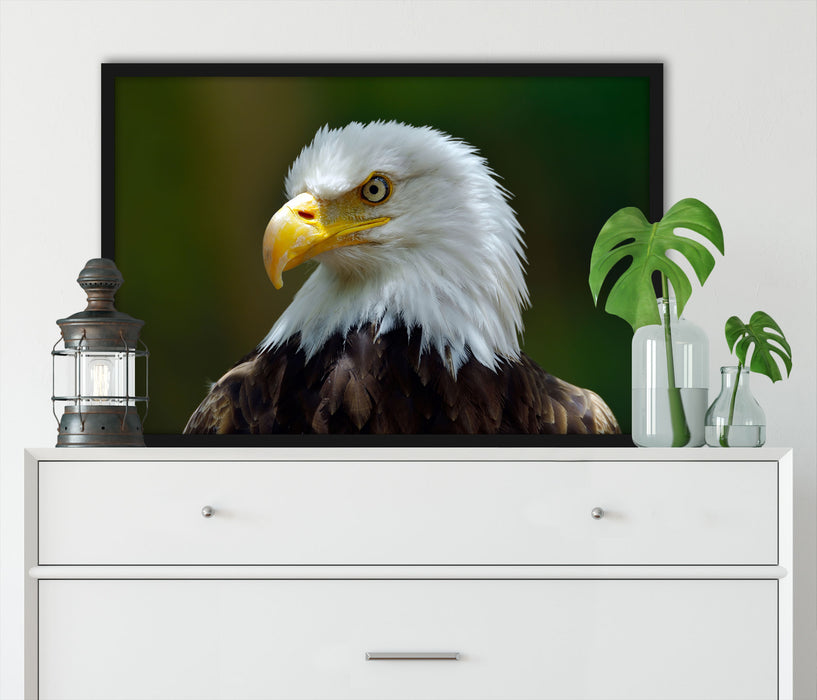 Mächtiger Weißkopfseeadler, Poster mit Bilderrahmen