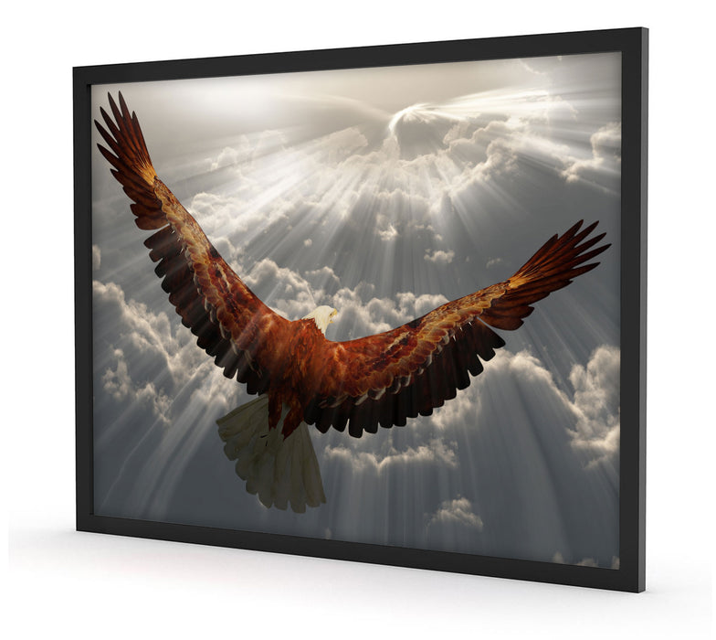 Adler über den Wolken, Poster mit Bilderrahmen