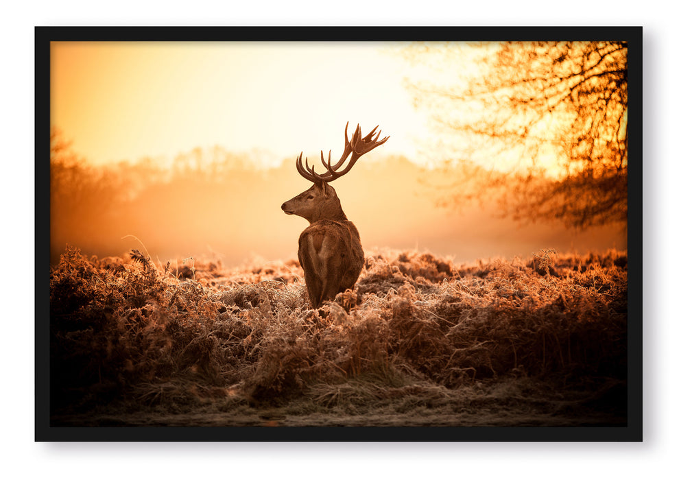 Pixxprint Stolzer Hirsch, Poster mit Bilderrahmen