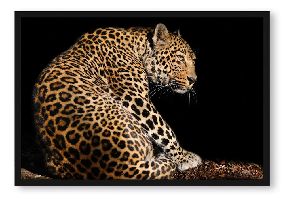 Pixxprint Anmutiger Leopard, Poster mit Bilderrahmen