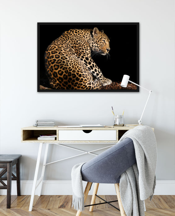 Anmutiger Leopard, Poster mit Bilderrahmen