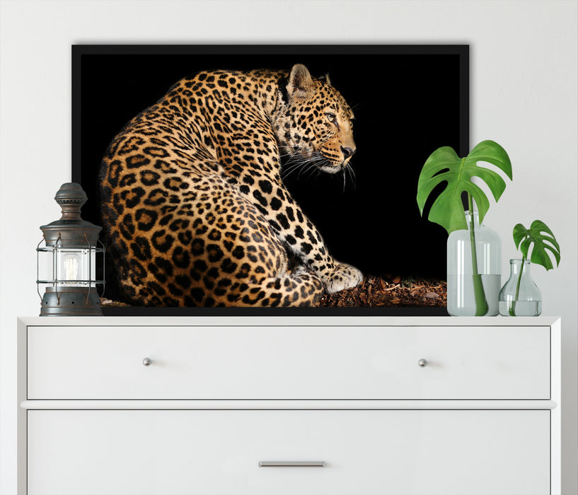 Anmutiger Leopard, Poster mit Bilderrahmen