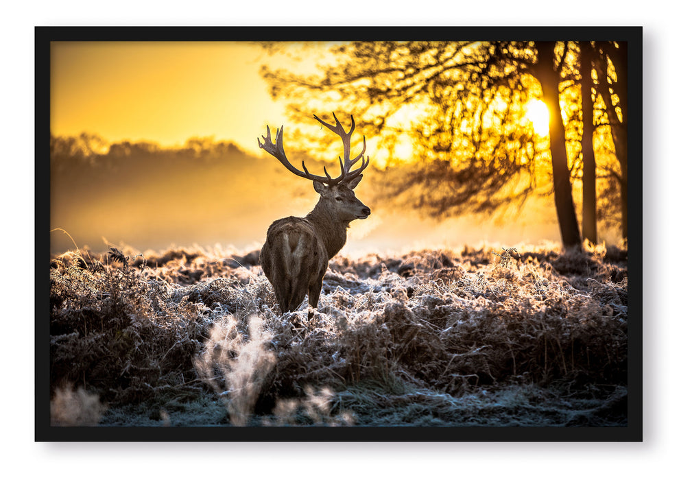 Hirsch im Wald, Poster mit Bilderrahmen