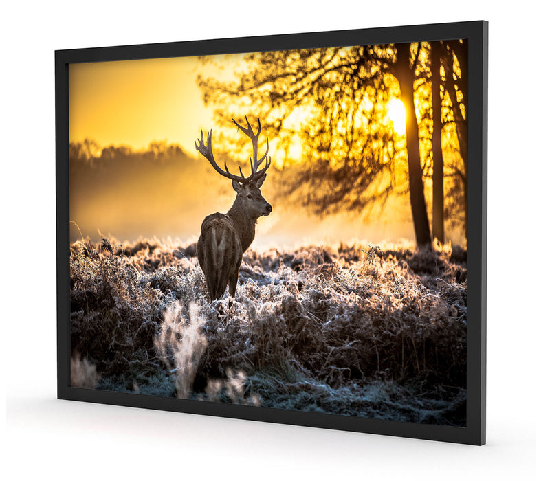 Hirsch im Wald, Poster mit Bilderrahmen