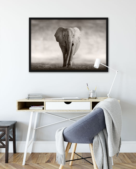 Einsamer Elefant, Poster mit Bilderrahmen