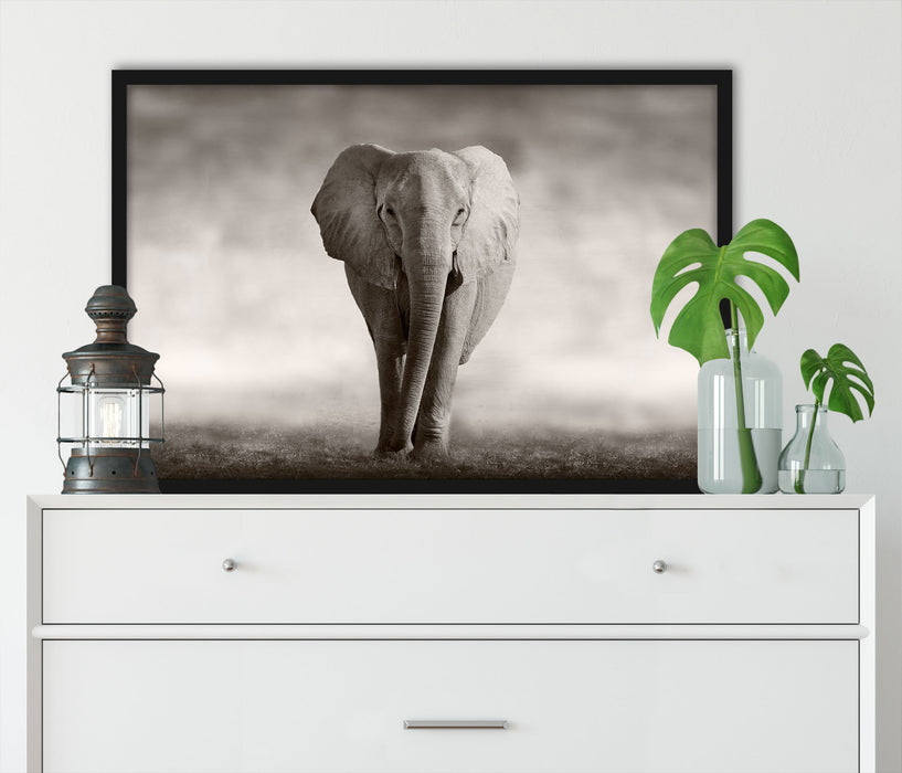 Einsamer Elefant, Poster mit Bilderrahmen