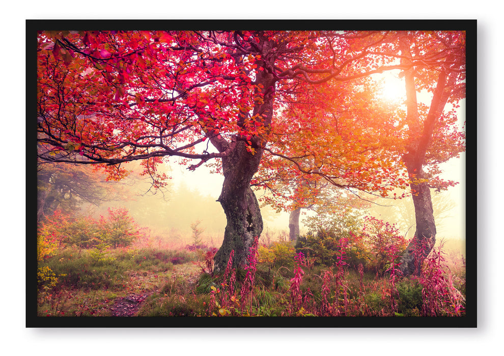 Traumhafte Herbstlandschaft, Poster mit Bilderrahmen