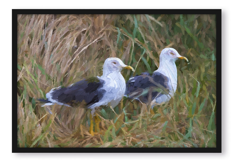 Pixxprint zwei Möwen im hohen Gras, Poster mit Bilderrahmen