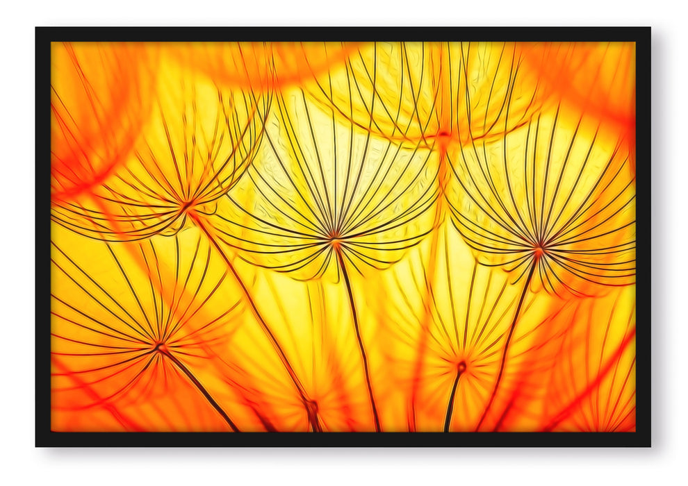 Pixxprint Pusteblumen oranges Licht, Poster mit Bilderrahmen