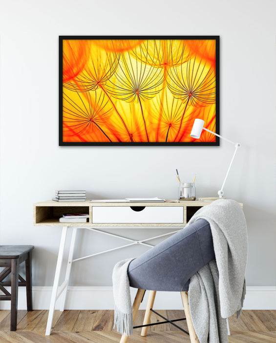 Pusteblumen oranges Licht, Poster mit Bilderrahmen