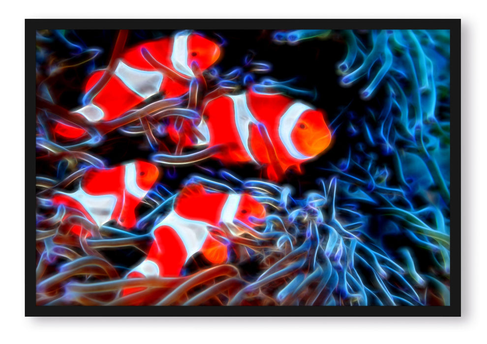 Pixxprint Clown Fische in Anemone, Poster mit Bilderrahmen