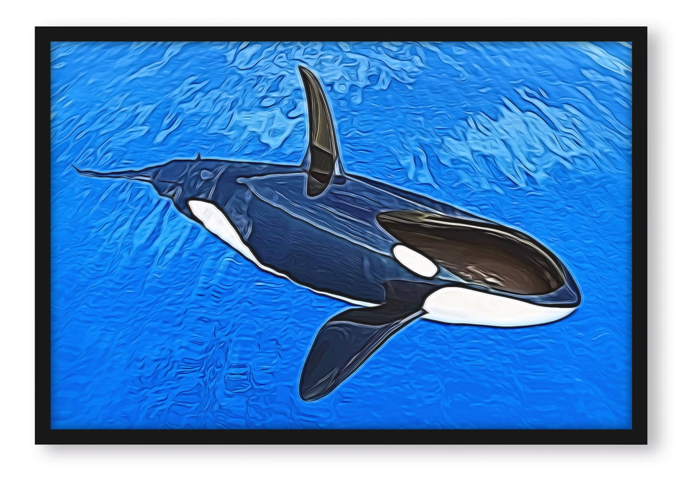 Orca im blauen Meer, Poster mit Bilderrahmen