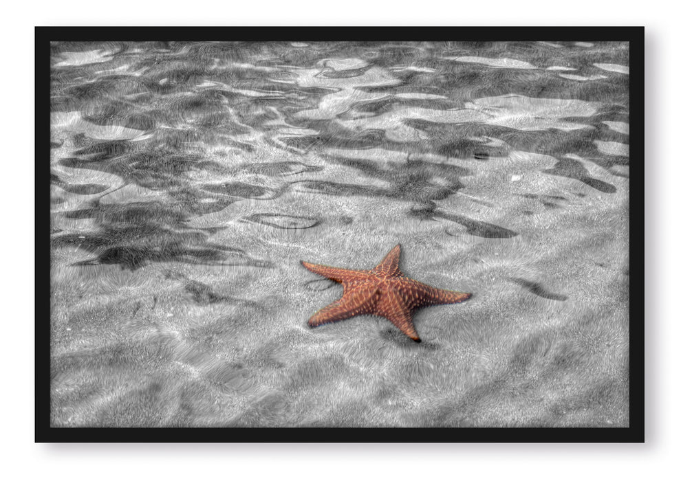 Pixxprint schöner Seestern im klaren Wasser, Poster mit Bilderrahmen