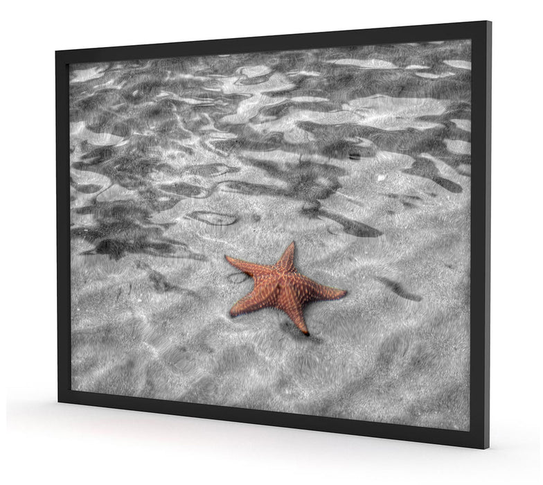 schöner Seestern im klaren Wasser, Poster mit Bilderrahmen