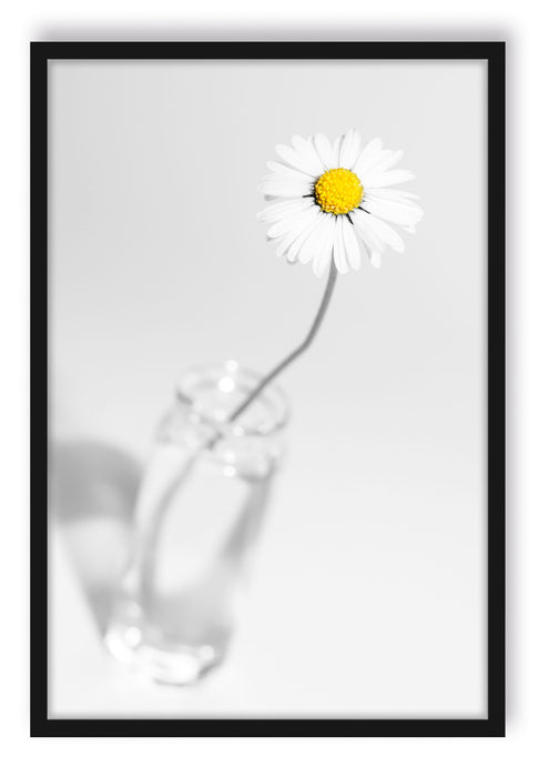 Gänseblümchen im Glas, Poster mit Bilderrahmen