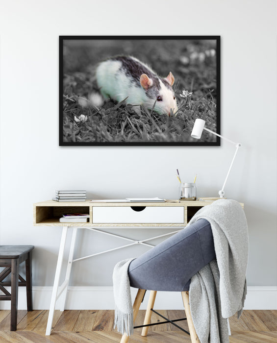 kleine Maus auf Blumenwiese, Poster mit Bilderrahmen