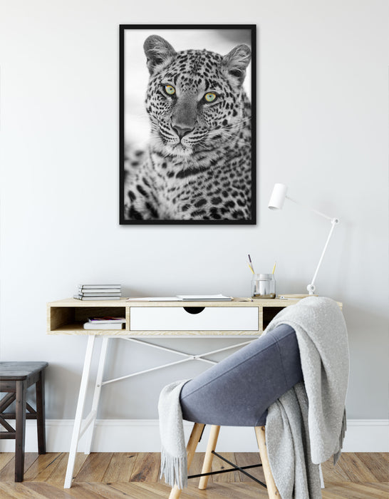 wunderschöner Leopard, Poster mit Bilderrahmen