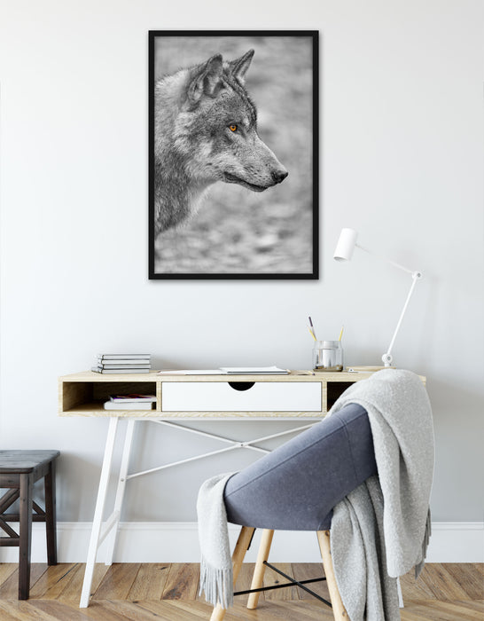 anmutiger Wolf im Wald, Poster mit Bilderrahmen