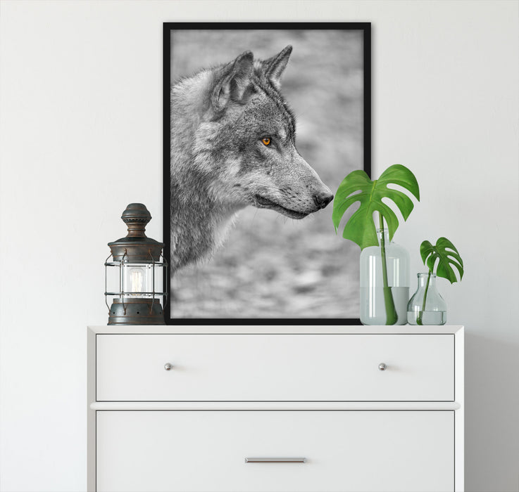 anmutiger Wolf im Wald, Poster mit Bilderrahmen