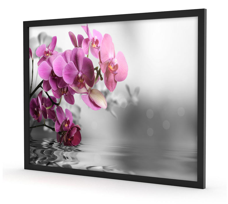 Orchideenblüten über Wasser, Poster mit Bilderrahmen