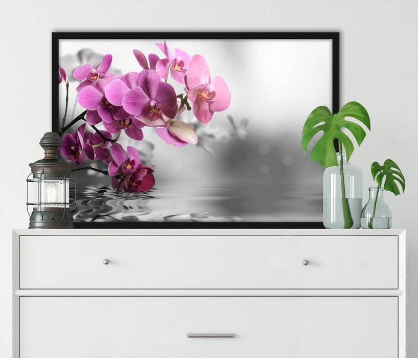 Orchideenblüten über Wasser, Poster mit Bilderrahmen