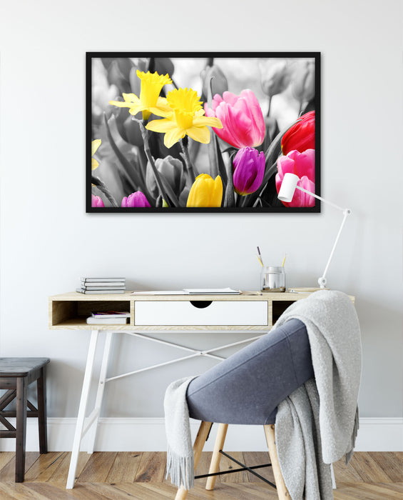 schöne Narzissen mit Tulpen, Poster mit Bilderrahmen
