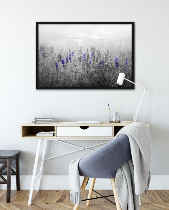 wunderschönes Lavendelfeld, Poster mit Bilderrahmen