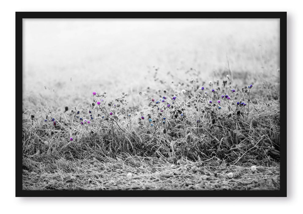 Distel Feld im Retro Look, Poster mit Bilderrahmen