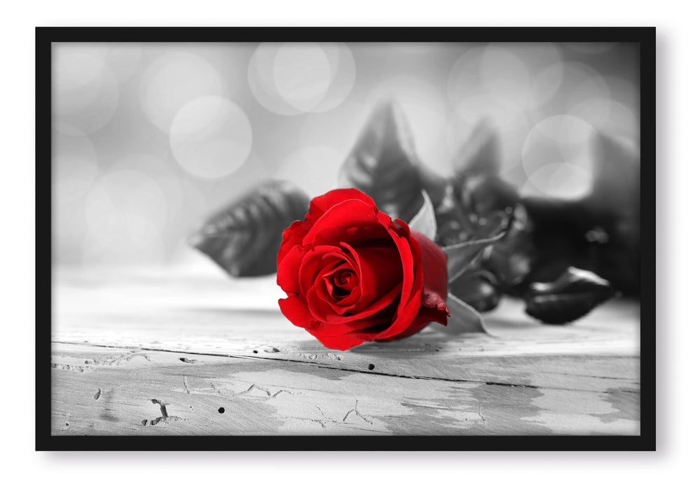 Pixxprint Rose auf Holztisch, Poster mit Bilderrahmen