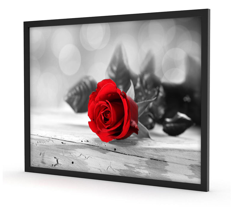 Rose auf Holztisch, Poster mit Bilderrahmen