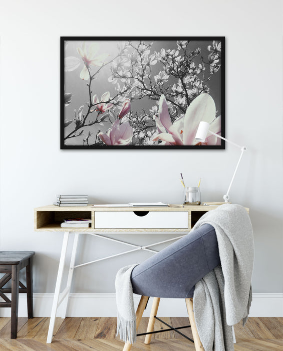 schöne Magnolie Blüten, Poster mit Bilderrahmen