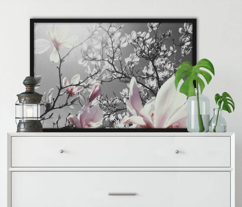 schöne Magnolie Blüten, Poster mit Bilderrahmen