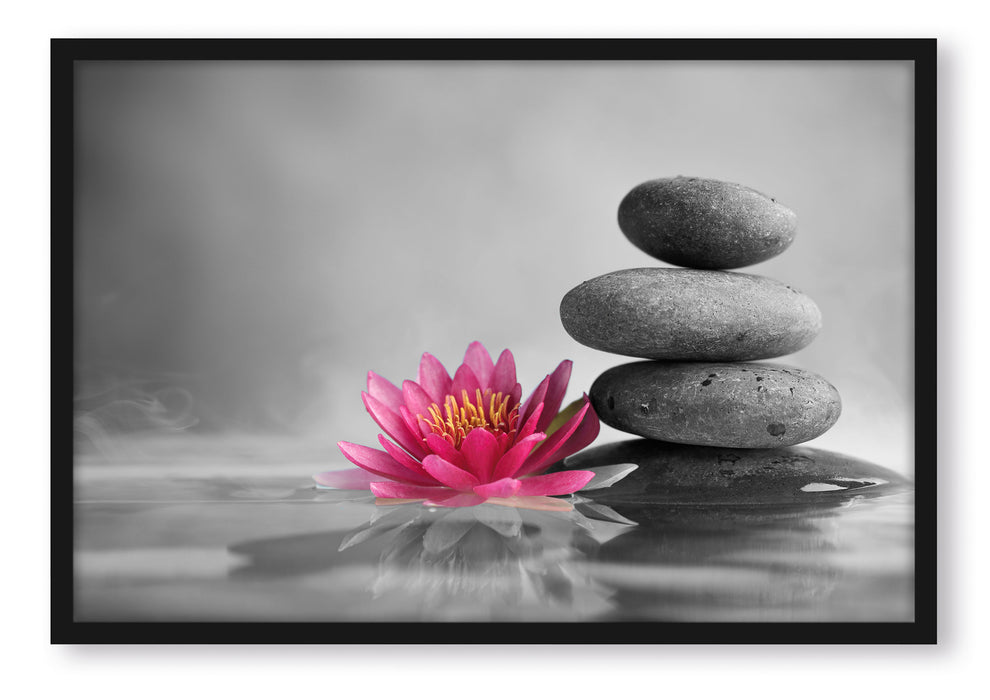 Pixxprint Seerosenblüte vor Zen Steinen, Poster mit Bilderrahmen