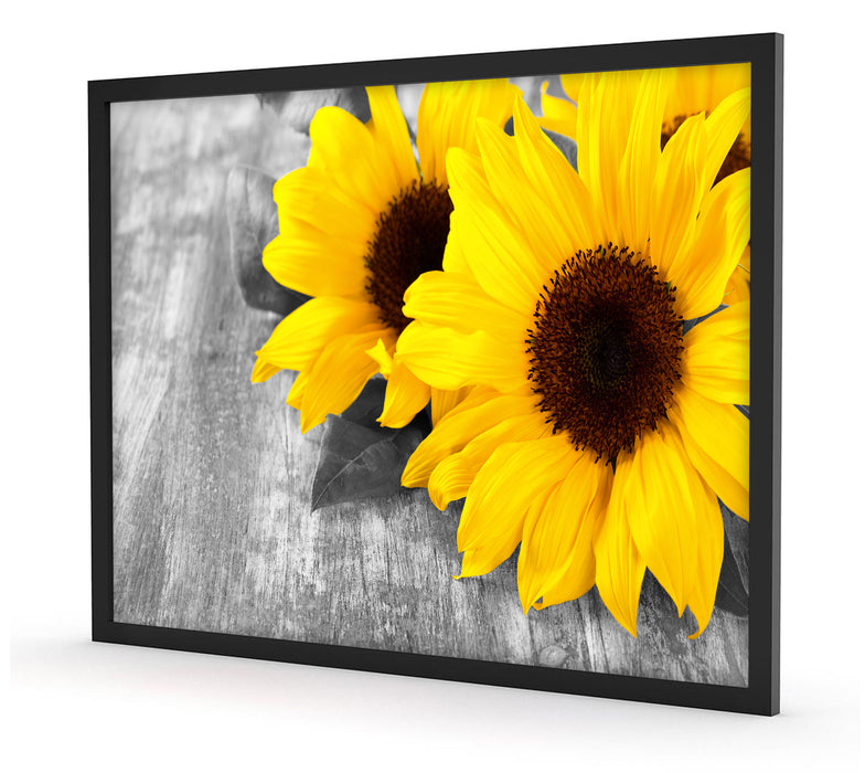 schöne Sonnenblumen auf Holztisch, Poster mit Bilderrahmen