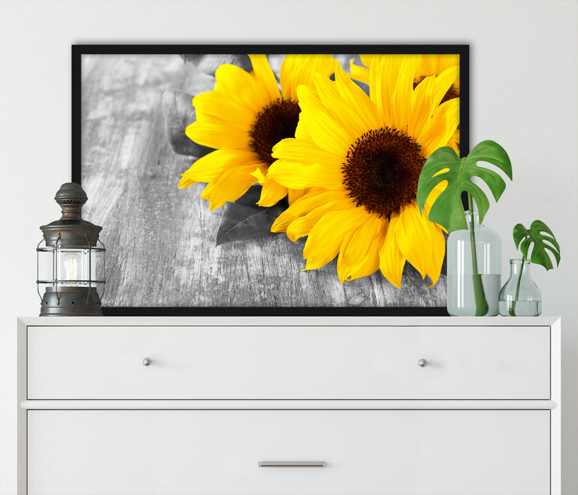 schöne Sonnenblumen auf Holztisch, Poster mit Bilderrahmen