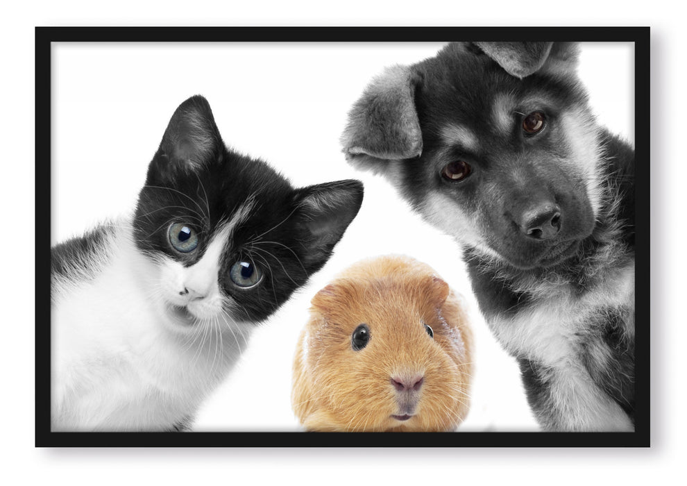 Pixxprint Trio Hund Katze Meerschweinchen, Poster mit Bilderrahmen