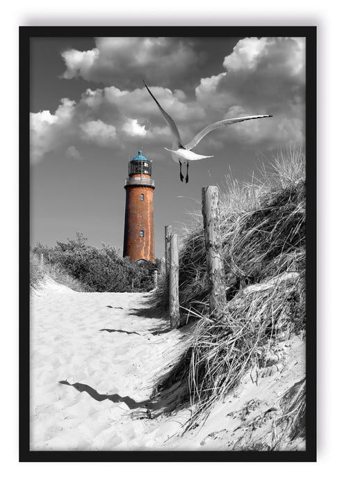 Leuchtturm mit Möwe an Strandweg, Poster mit Bilderrahmen