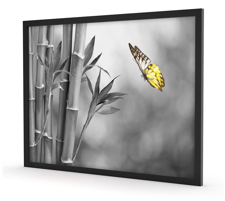 schöner Schmetterling vor Bambus, Poster mit Bilderrahmen