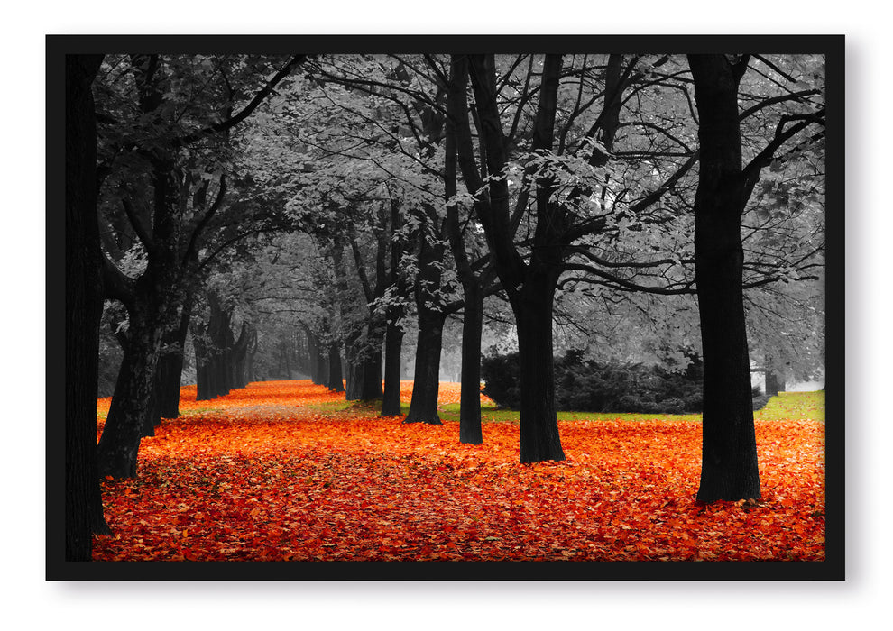 schöner Waldweg im Herbst, Poster mit Bilderrahmen